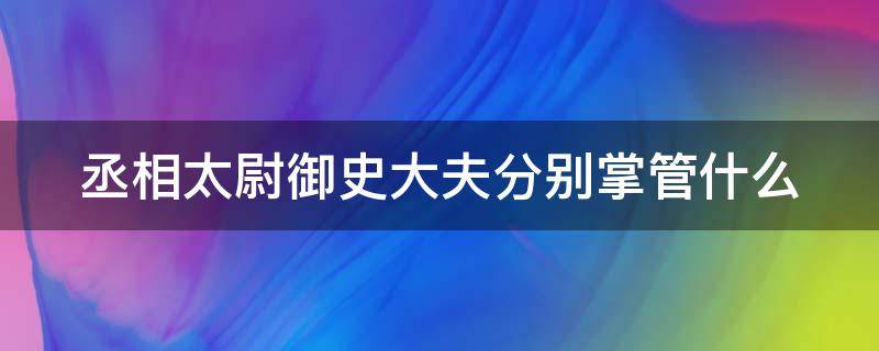 丞相太尉御史大夫分别掌管什么（丞相太尉御史大夫分别掌管什么权）