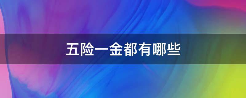 五险一金都有哪些（五险一金都有哪些保险）