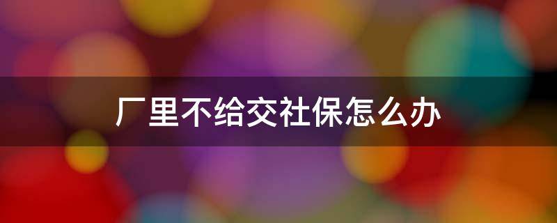 厂里不给交社保怎么办 厂里面不交社保我们该怎么办