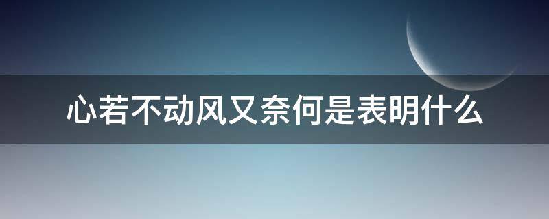 心若不动风又奈何是表明什么（心若不动风又奈何出自于哪里）