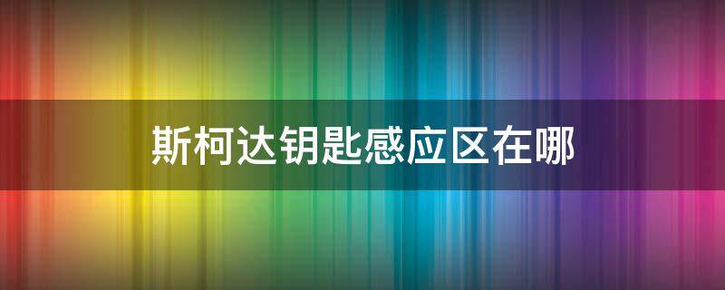 斯柯达钥匙感应区在哪（斯柯达钥匙感应区在哪里）