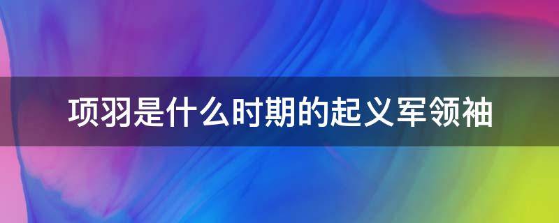 项羽是什么时期的起义军领袖（项羽是什么的起义军领袖与谁争夺天下）