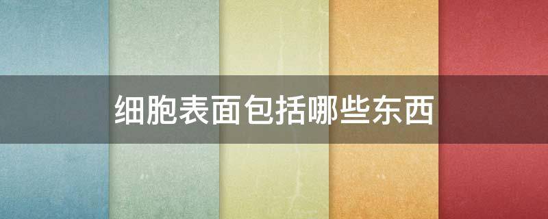 细胞表面包括哪些东西 细胞表面包括什么