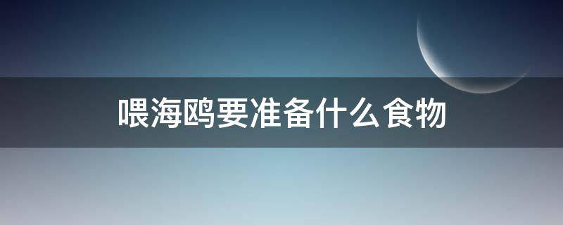 喂海鸥要准备什么食物 喂海鸥怎么喂