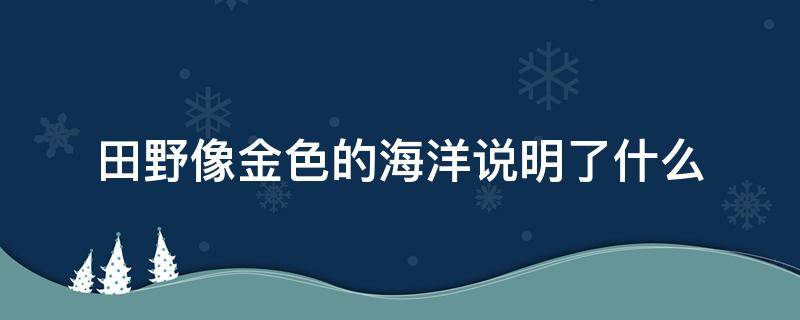 田野像金色的海洋说明了什么（田野像金色的海洋说明了什么原因）