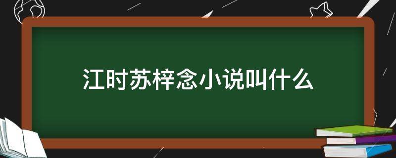 江时苏梓念小说叫什么（江时,苏梓念小说）