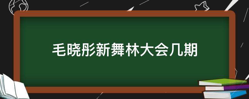 毛晓彤新舞林大会几期（毛晓彤跳舞新舞林大会第一期）