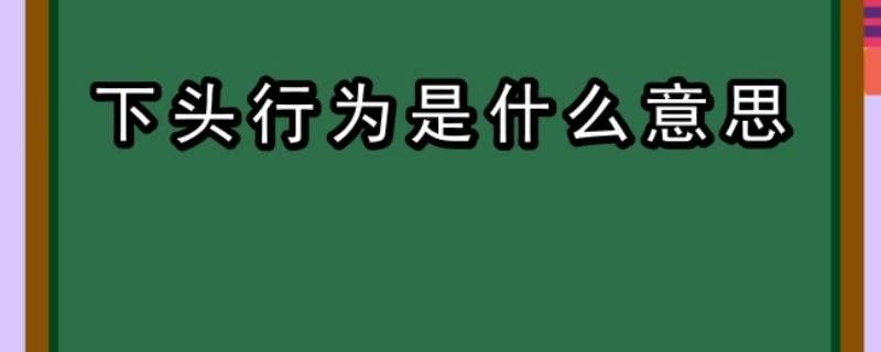 下头行为是什么意思（下头行为是什么意思网络用语）