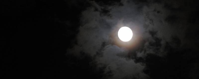 我说今晚的月亮很美你说是的含义