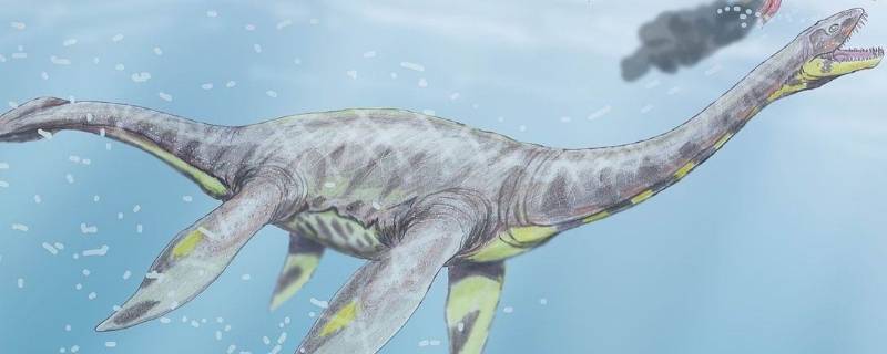 plesiosaurus是什么恐龙 Spinosaurus是什么恐龙