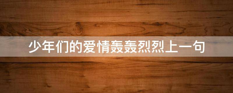 少年们的爱情轰轰烈烈上一句 所以少年们的青春轰轰烈烈