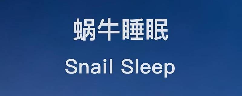蜗牛睡眠的精选鼾声是全部吗（蜗牛睡眠打鼾时间是整晚吗）