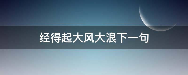 经得起大风大浪下一句 经不起大风大浪后面一句是什么