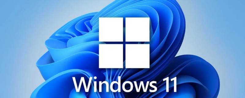 win11连不上网（win11连不上网怎么办）