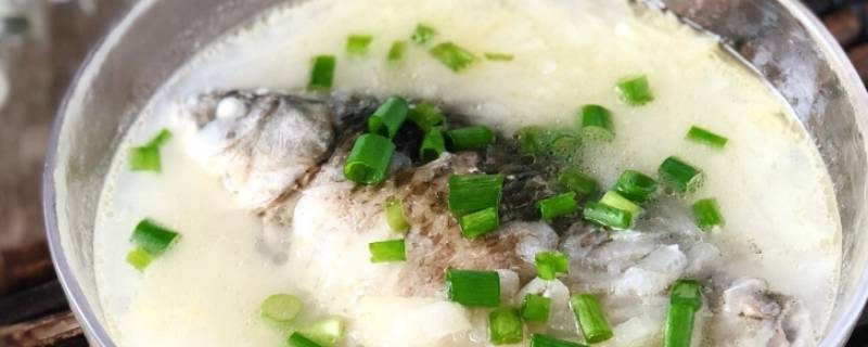 长鱼怎么杀了烧汤（长鱼怎么红烧）