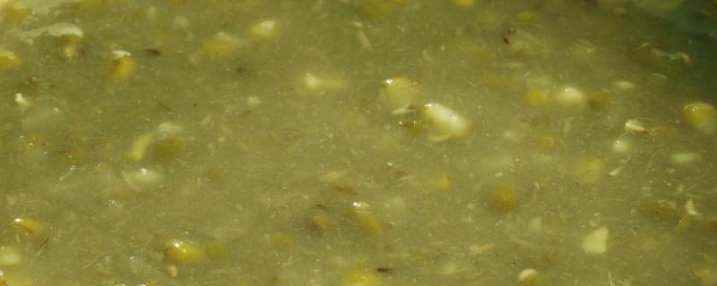 如何煮出碧绿的绿豆沙 怎么煮出绿豆沙