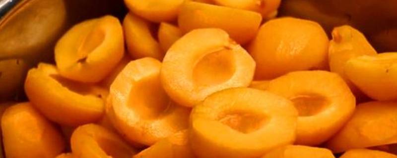 杏罐头的自制方法怎么去皮窍门 杏罐头的自制方法怎么去皮窍门图片