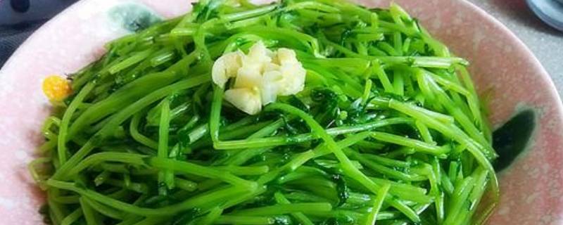 柳蒿芽怎么做好吃（晒干的柳蒿芽怎么做好吃）