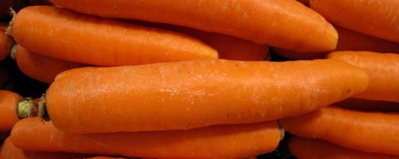 胡萝卜如何切菱形 怎样切菱形胡萝卜