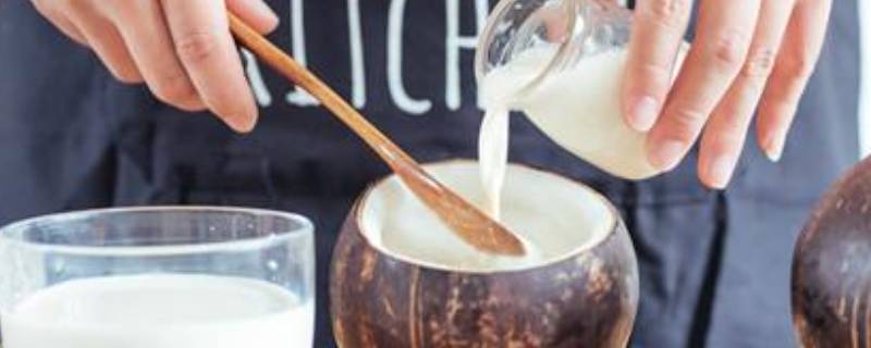 椰子粉怎么调制椰奶 椰奶粉怎么做椰奶
