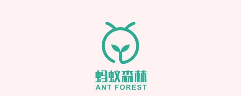 蚂蚁森林5g是什么消费 蚂蚁森林5g能量除了线下消费