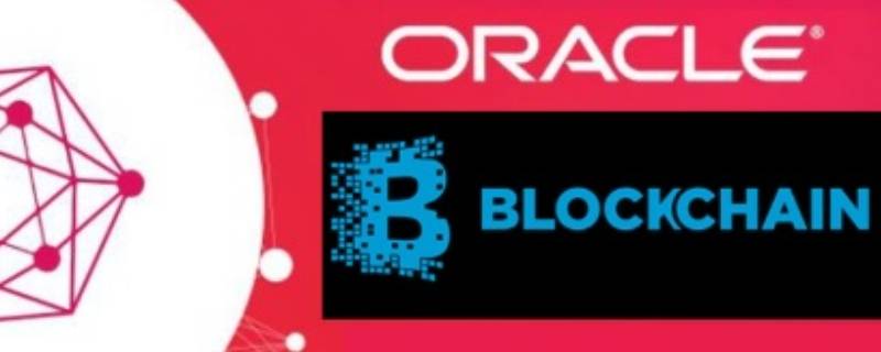 oracle是什么软件（Oracle是软件吗）