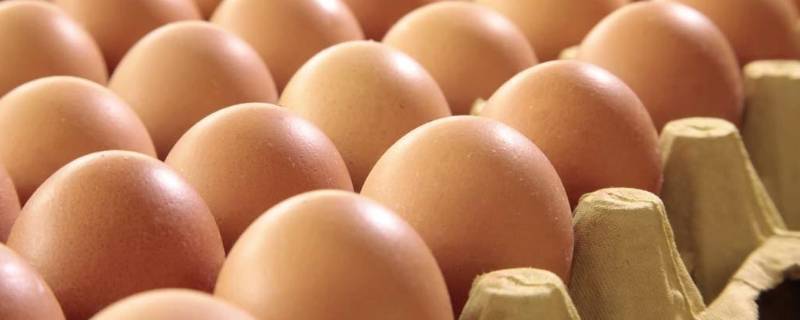 立鸡蛋是生的还是熟的（鸡蛋生的和熟的哪个能立起来）