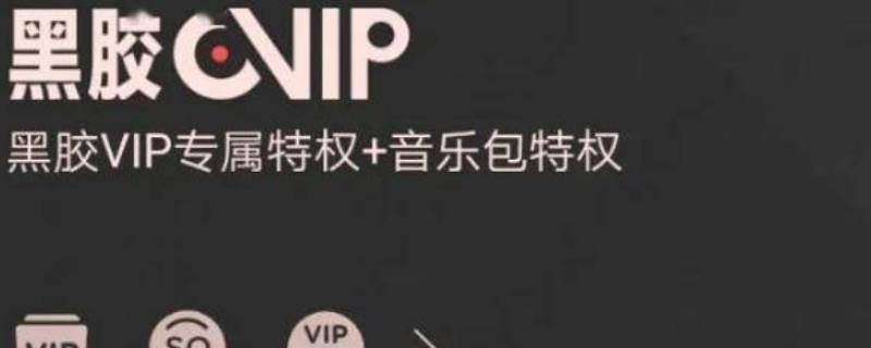 黑胶vip是什么意思 黑胶vip是干嘛的