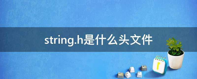 string.h是什么头文件 stringh是什么头文件