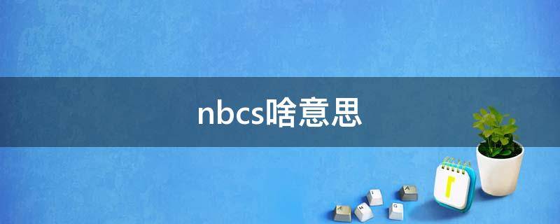 nbcs啥意思 呵呵,NBCS是什么意思