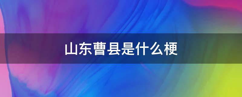 山东曹县是什么梗（山东曹县是一个什么梗）