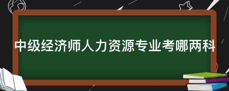 中级经济师人力资源专业考哪两科 中级经济师人力资源专业考哪两科啊