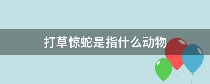 打草惊蛇是指什么动物 打草惊蛇打一种动物