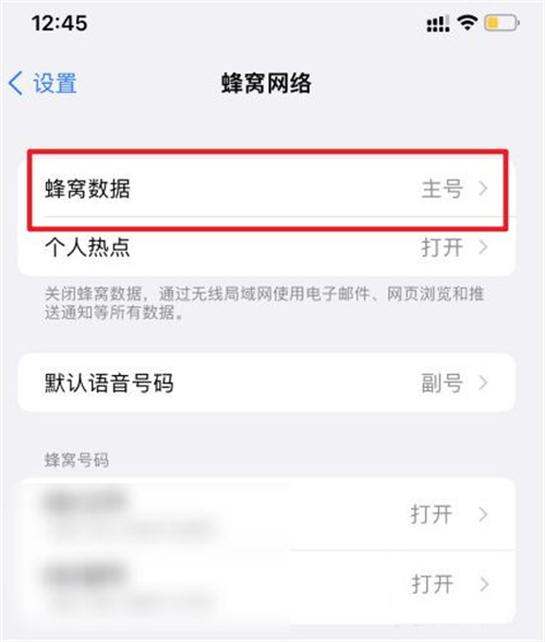 苹果双卡双待怎么设置