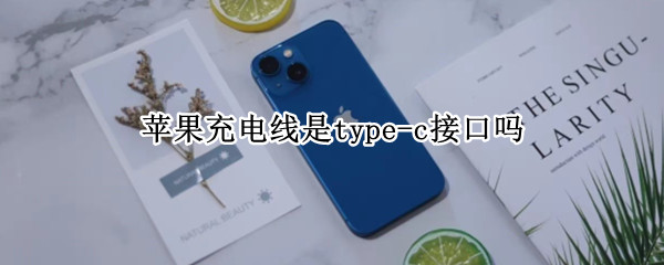 苹果充电线是type-c接口吗（苹果手机可以用type-c接口充电线么）