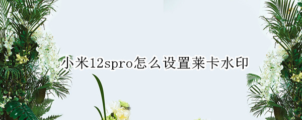 小米12spro怎么设置莱卡水印 miui12相机水印设置