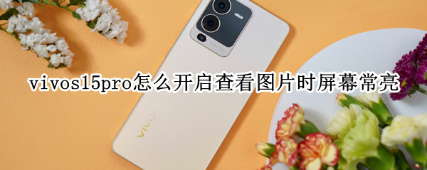 vivos15pro怎么开启查看图片时屏幕常亮 vivo手机怎么看照片时间