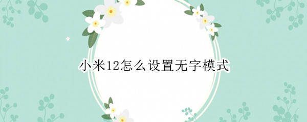 小米12怎么设置无字模式 小米11浅色模式看不到字