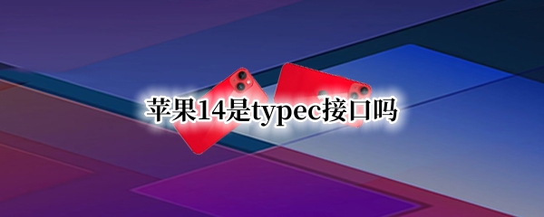 苹果14是typec接口吗（苹果12是type-c接口吗）