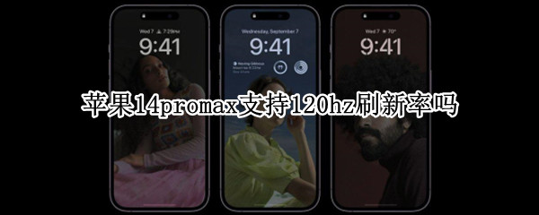 苹果14promax支持120hz刷新率吗（苹果12promax支持120hz刷新率吗）