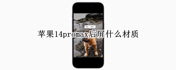 苹果14promax后屏什么材质 iphone12promax后屏什么材质