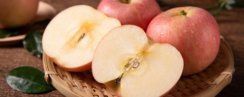 吃苹果可以减肥吗（晚上只吃苹果可以减肥吗）