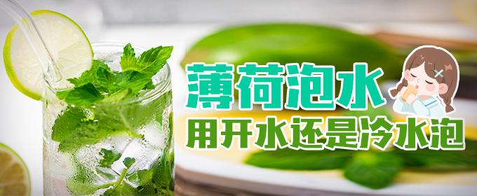 薄荷泡水用开水还是冷水泡（薄荷叶开水泡还是冷水泡）