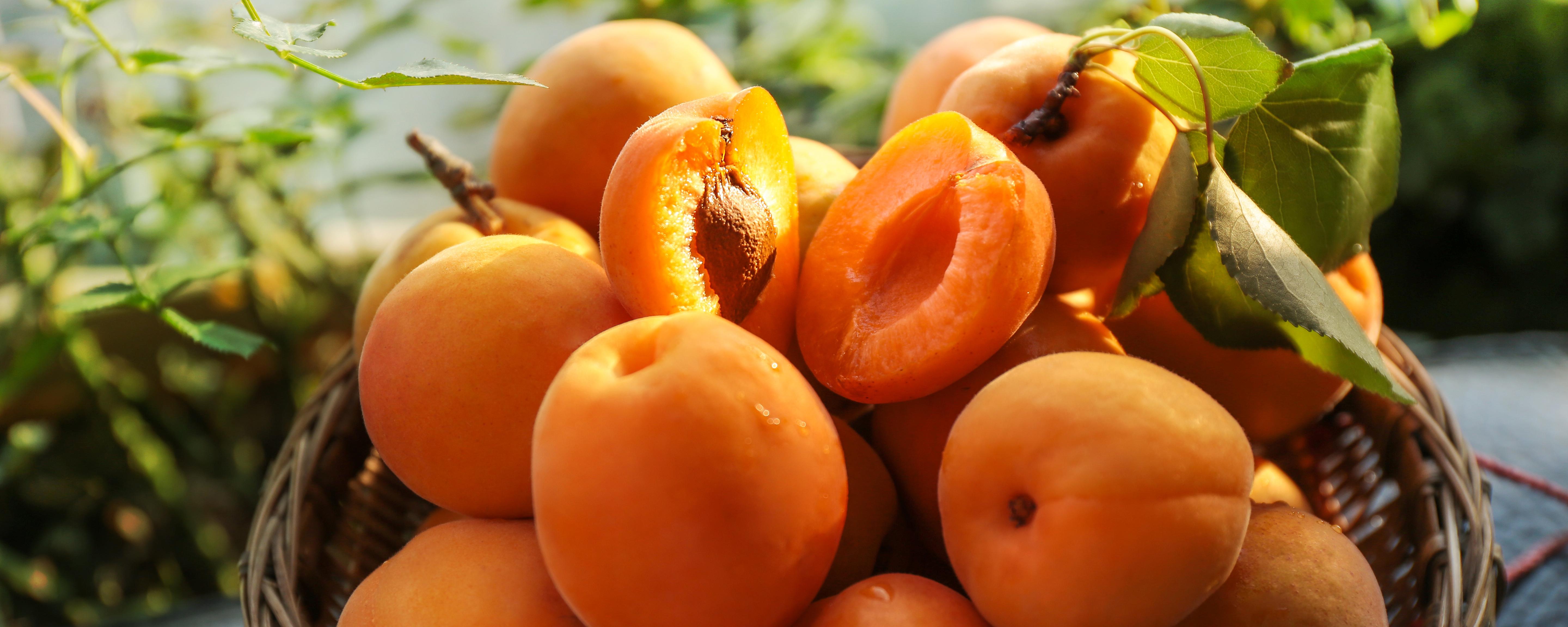 黄桃怎么保存时间长 黄桃怎么保存时间长又好吃