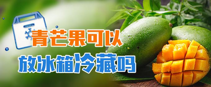 青芒果可以放冰箱冷藏吗（青芒果可以放冰箱冷藏吗可以放多久）