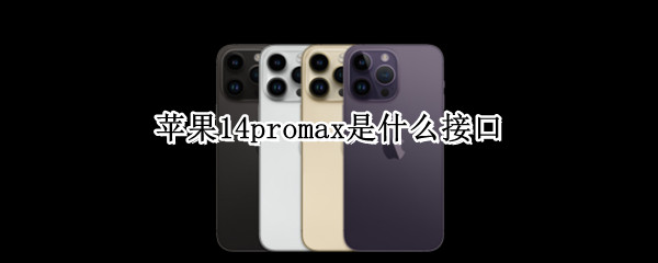 苹果14promax是什么接口 苹果13promax接口