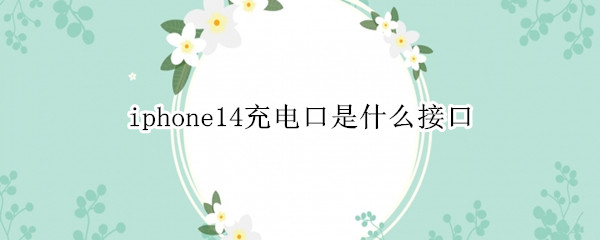 iphone14充电口是什么接口（iphone13充电口是什么接口）