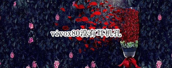 vivox80没有耳机孔（vivox20有耳机孔吗）