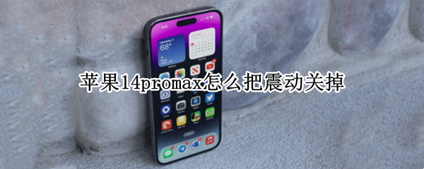 苹果14promax怎么把震动关掉 苹果12promax开了震动但不震动