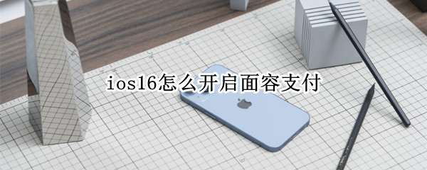 ios16怎么开启面容支付（iPhone怎么开启面容支付）